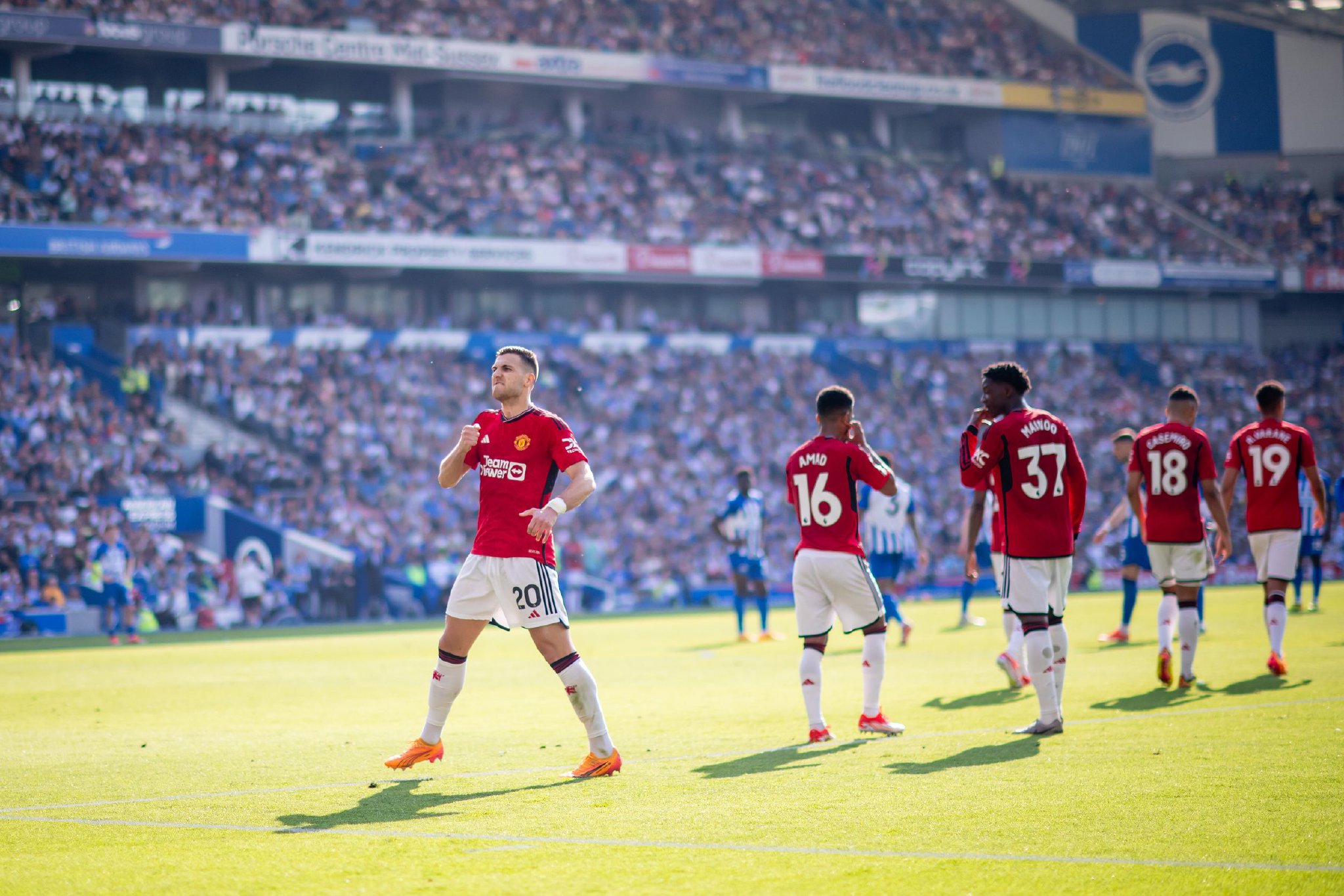 把自己多年 把自己多年